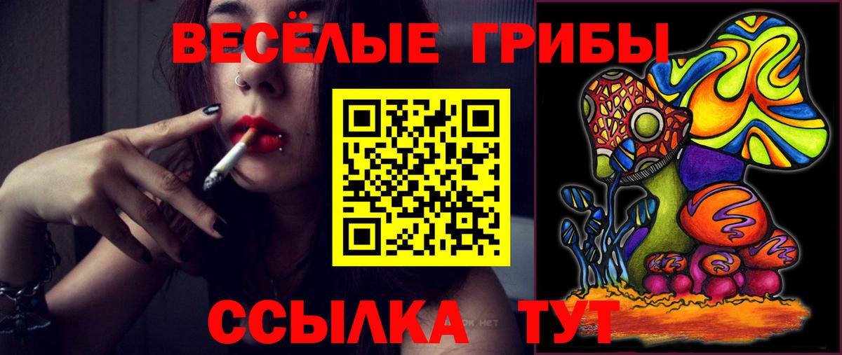 купить наркотик  Вход с VPN  Горно-Алтайск  Галлюциногенные грибы Psilocybe 